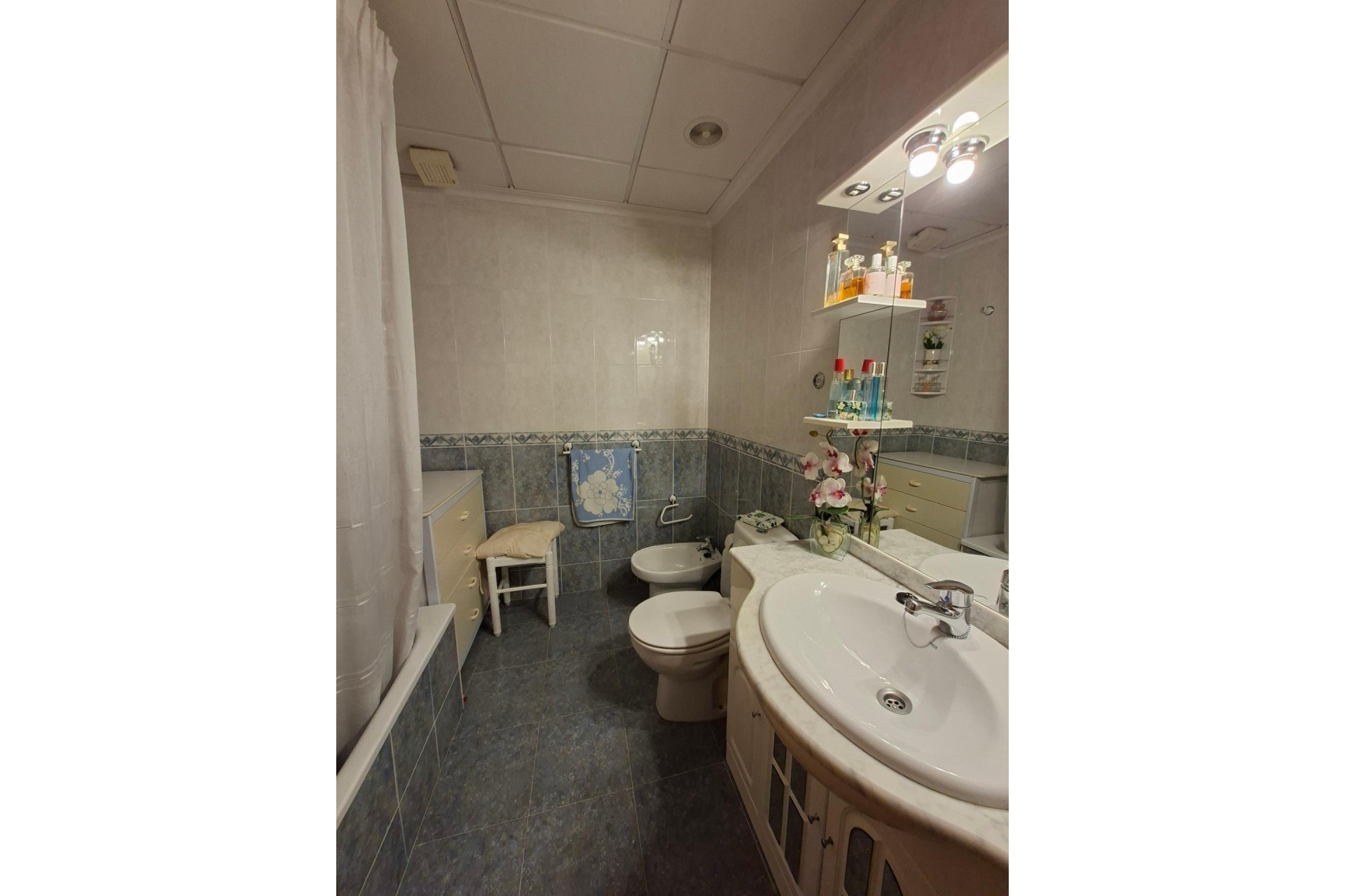 Alquiler a largo plazo - Apartamento / piso - Elche - Plaza Crevillente-Juzgados
