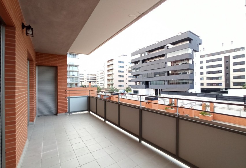 Alquiler a largo plazo - Apartment - Elche - Universidad - Ciudad deportiva