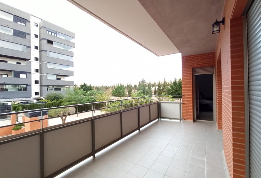 Alquiler a largo plazo - Apartment - Elche - Universidad - Ciudad deportiva