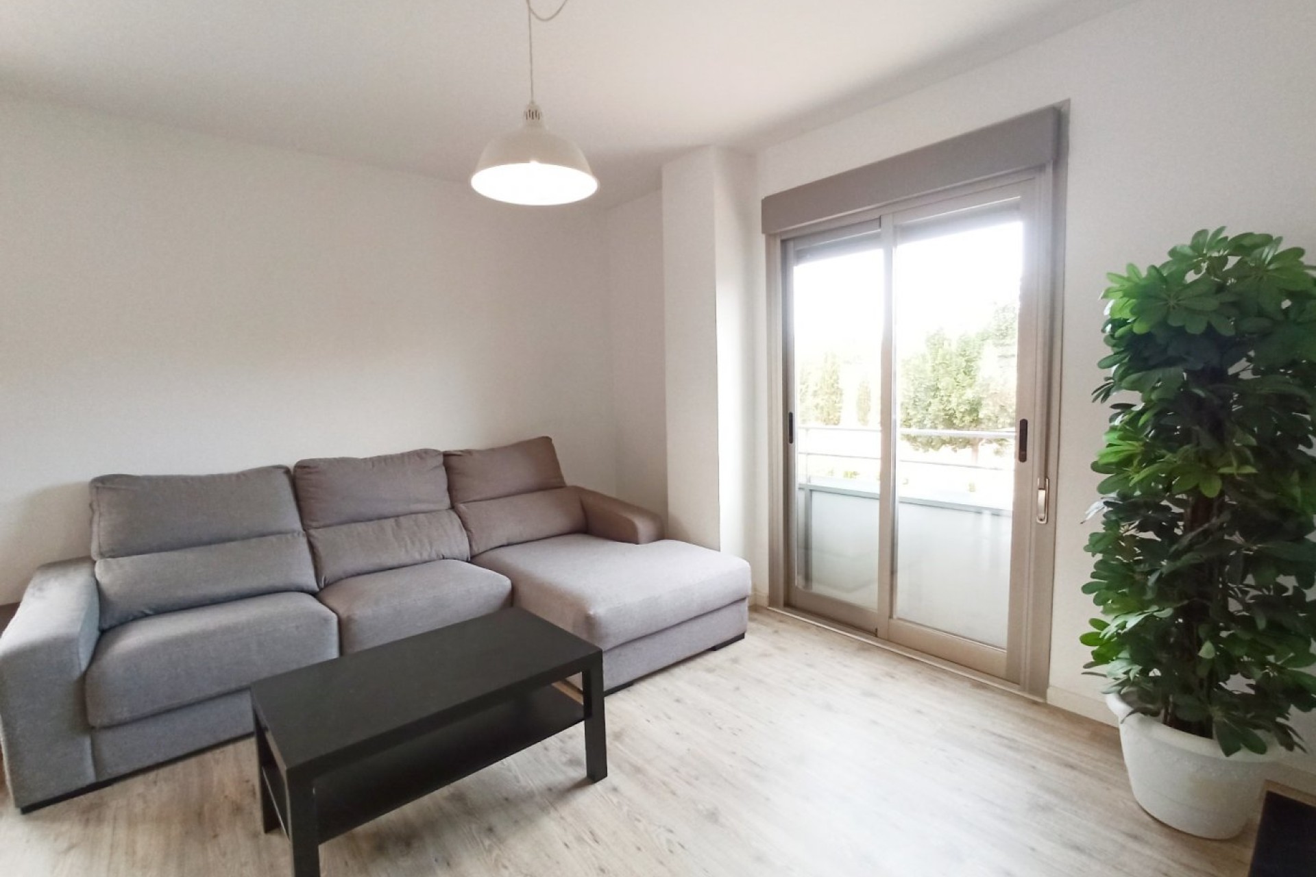 Alquiler a largo plazo - Apartment - Elche - Universidad - Ciudad deportiva