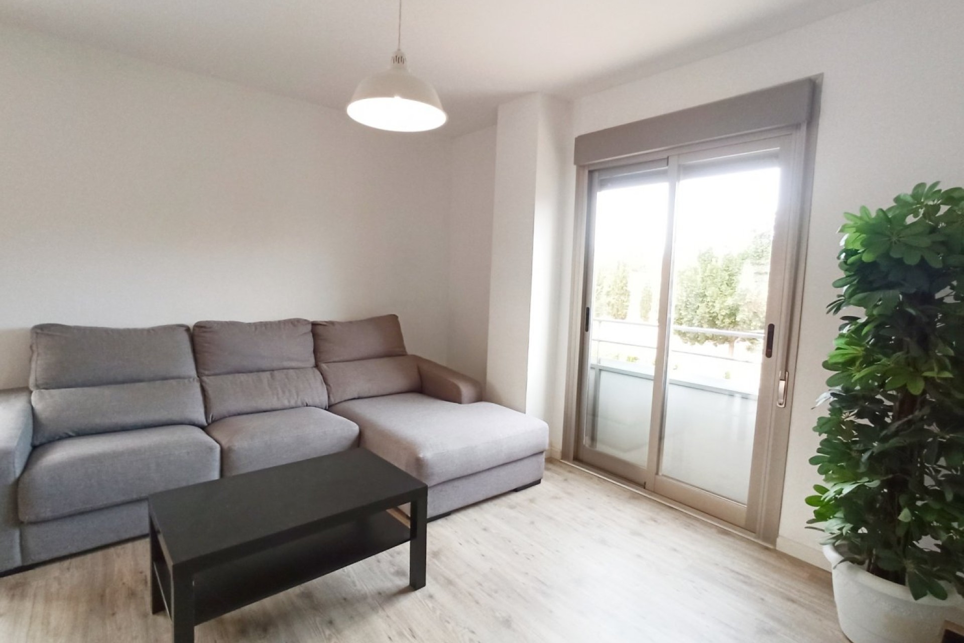 Alquiler a largo plazo - Apartment - Elche - Universidad - Ciudad deportiva