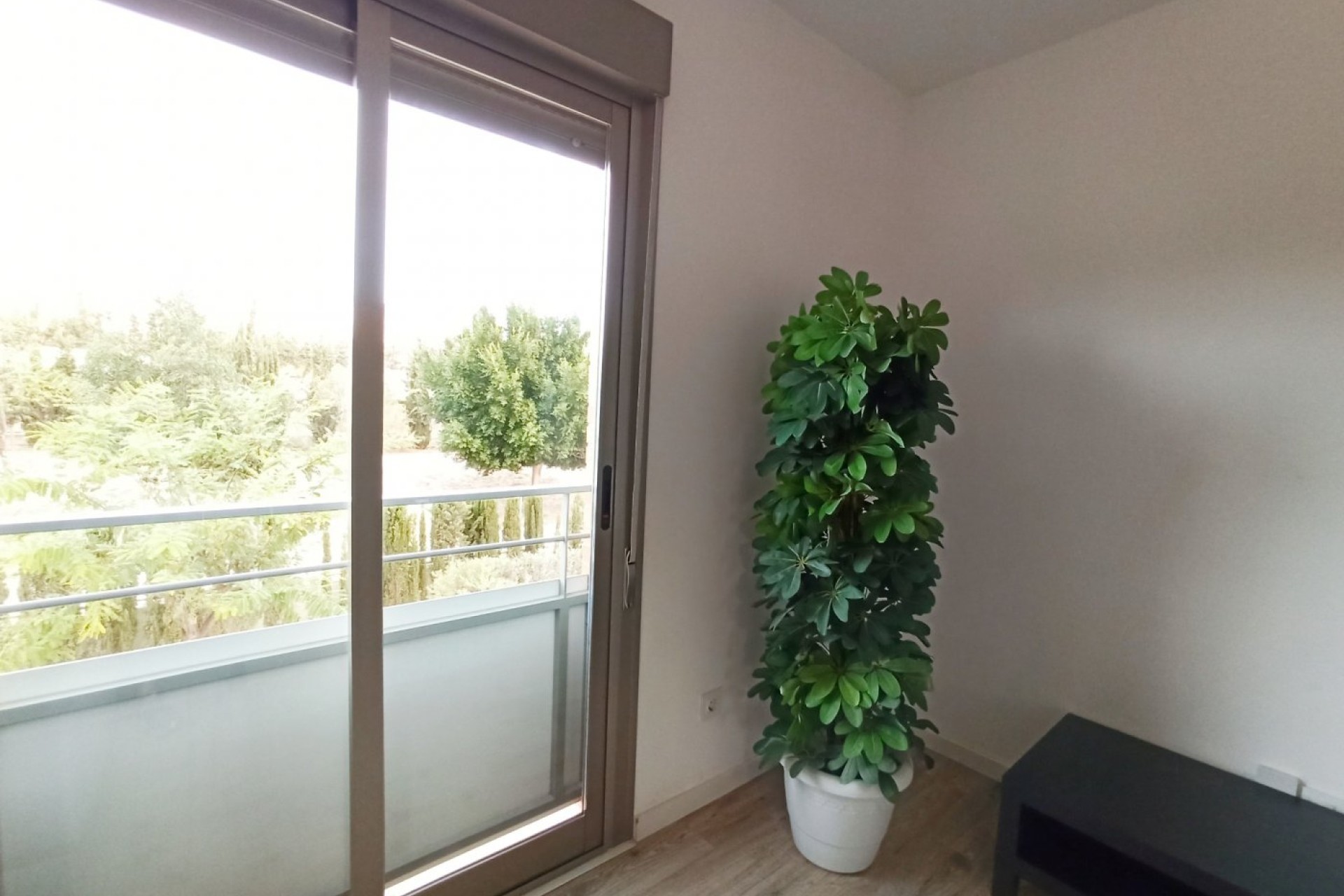 Alquiler a largo plazo - Apartment - Elche - Universidad - Ciudad deportiva