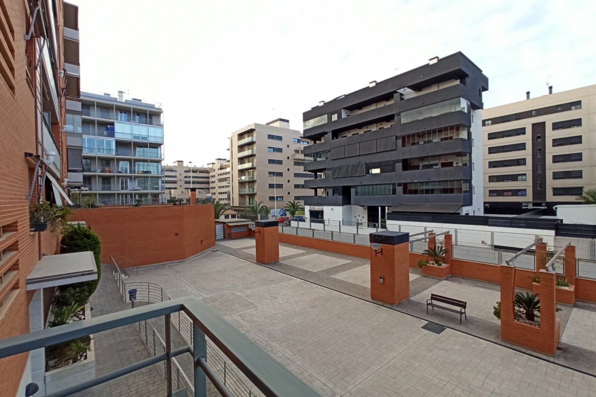 Alquiler a largo plazo - Apartment - Elche - Universidad - Ciudad deportiva