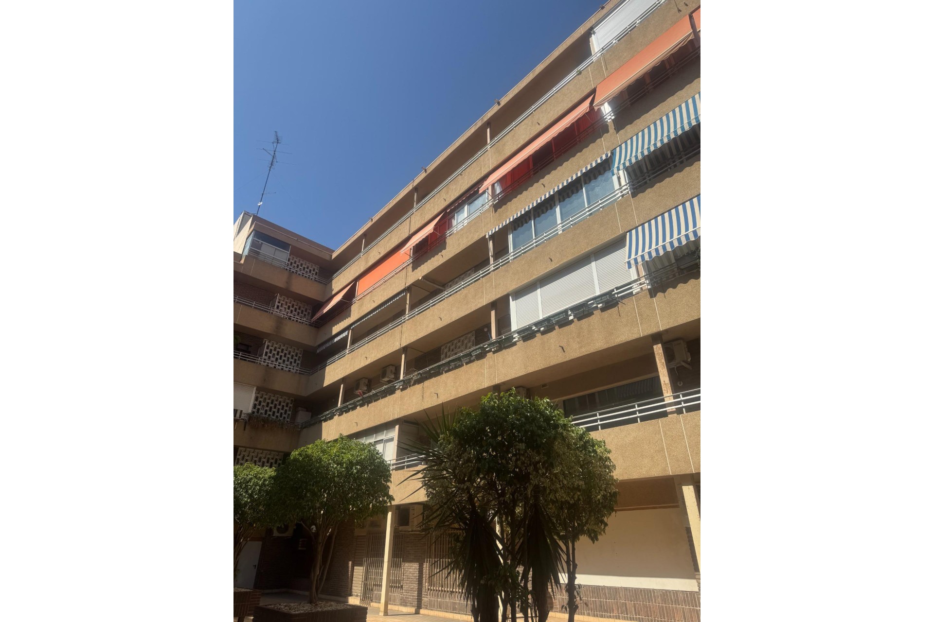 Alquiler a largo plazo - Oficina - Alicante - Centro