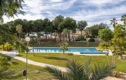 Apartamento / piso - Reventa - Benidorm - Hotel Bali