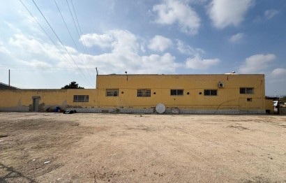 Commercial - Revente - Elche Pedanías - Algoda-Matola-Llano de San José