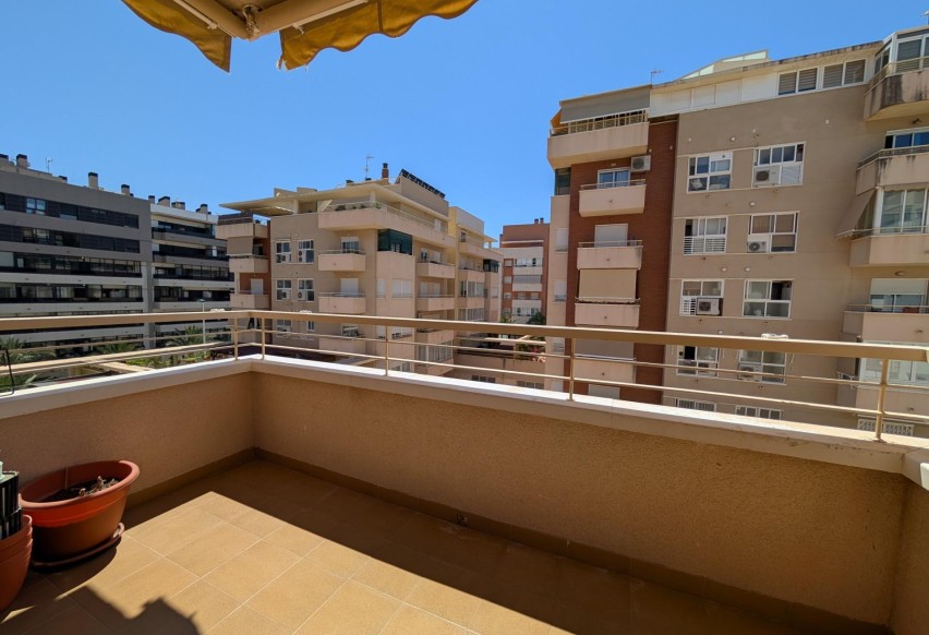Location à long terme - Apartment - Elche - Porcelanosa