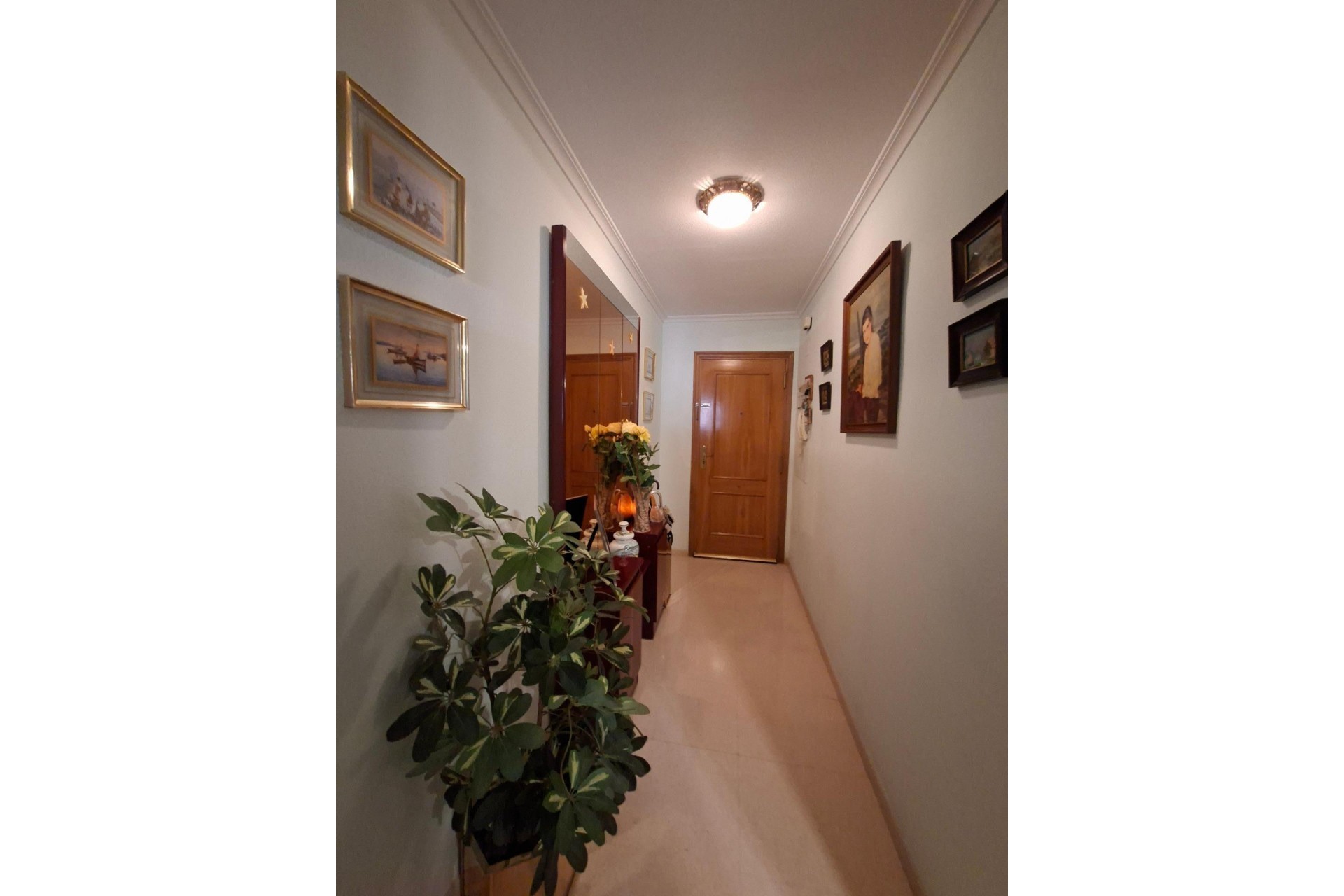 Long Term Rental - Apartment / flat - Elche - Plaza Crevillente-Juzgados