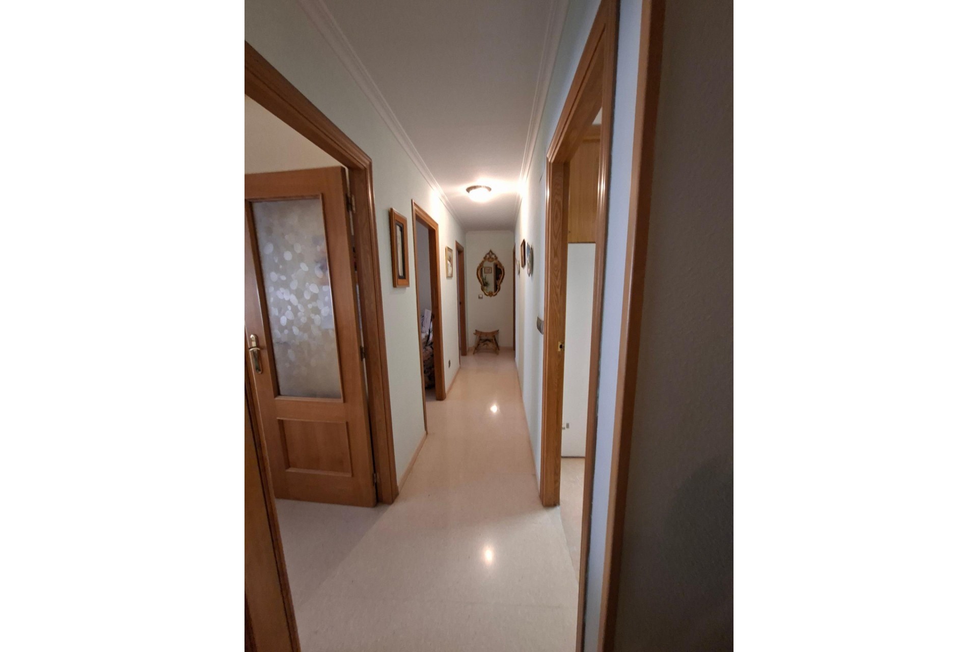 Long Term Rental - Apartment / flat - Elche - Plaza Crevillente-Juzgados
