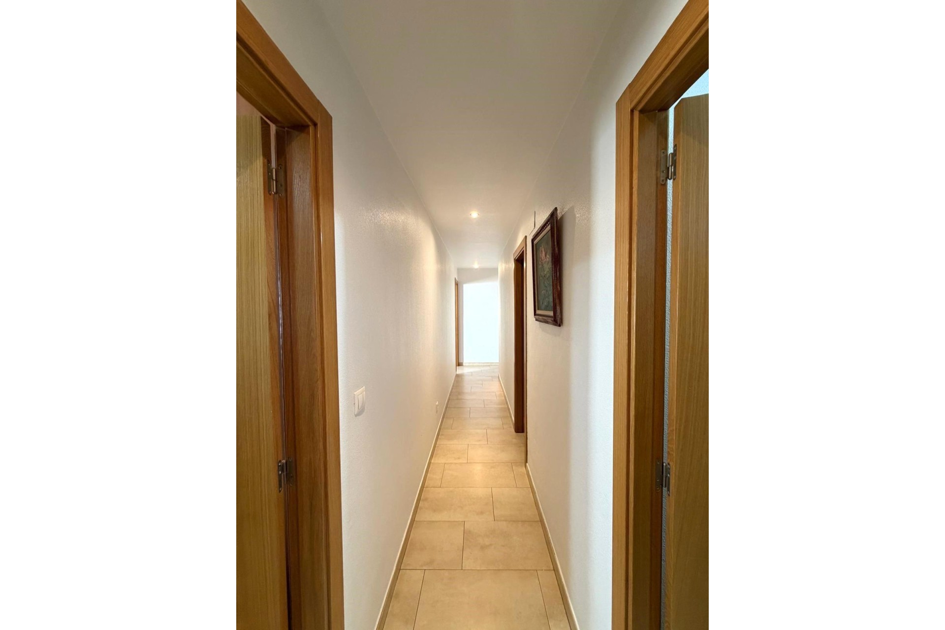 Long Term Rental - Apartment / flat - La hoya - Centro