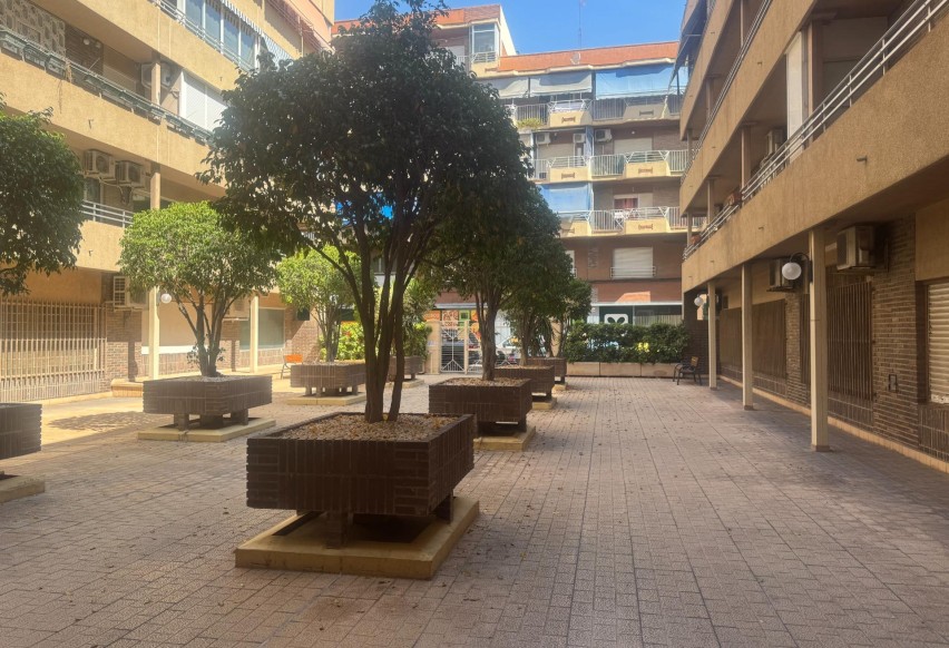 New Build - Apartment / flat - Alicante - Centro
