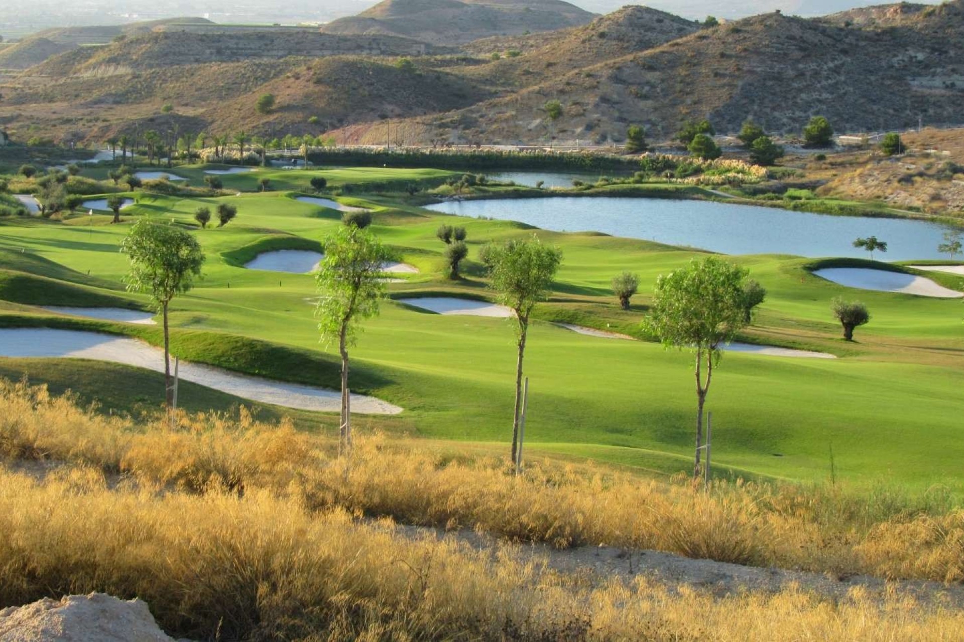 New Build - Villa - Monforte del Cid - Comunidad valenciana