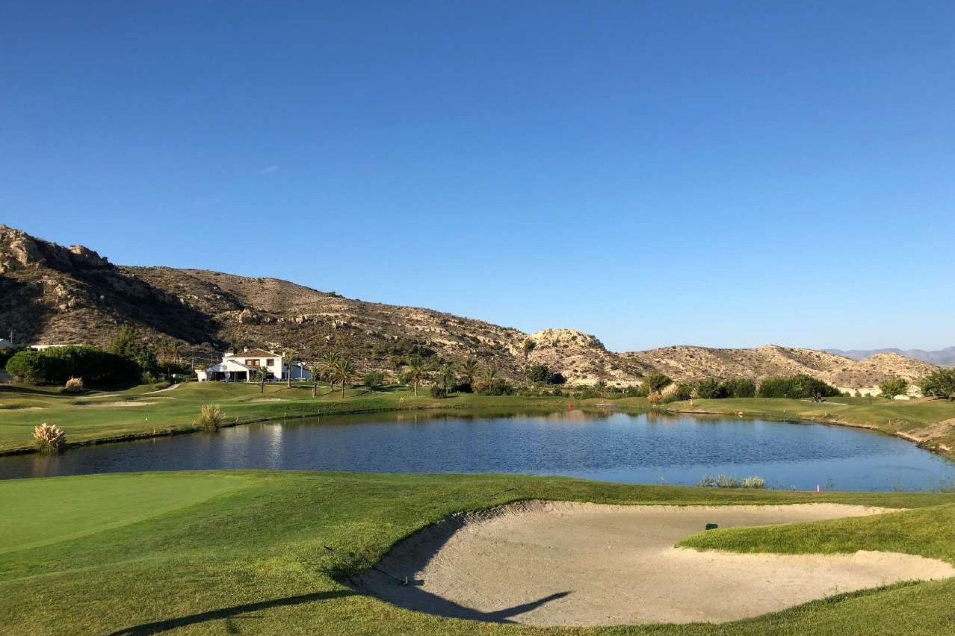 Nouvelle construction - Appartement - Monforte del Cid - Comunidad valenciana