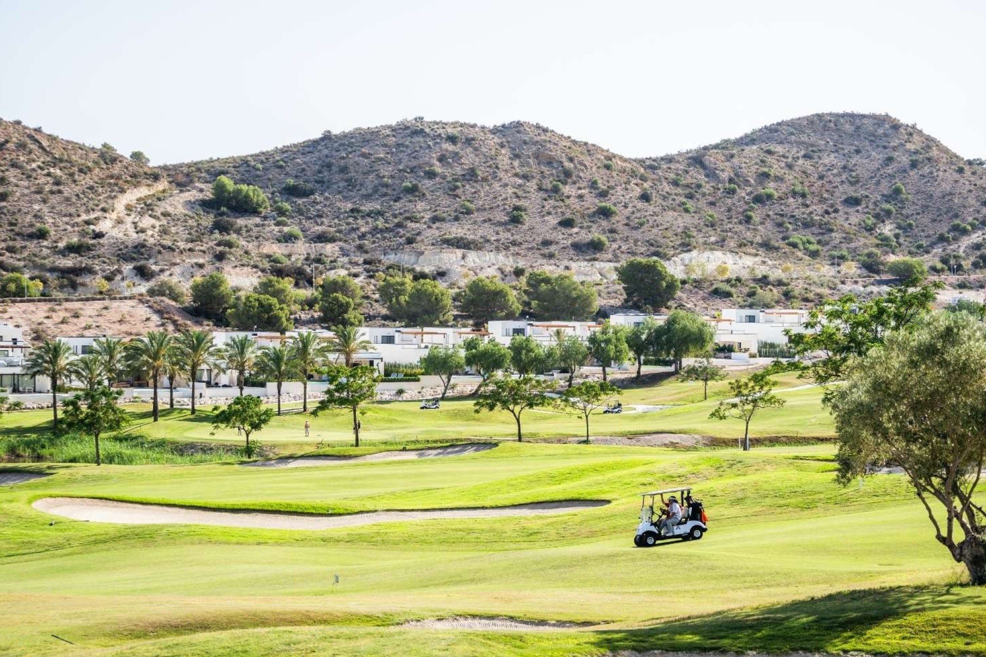 Nouvelle construction - Ville - Monforte del Cid - Comunidad valenciana