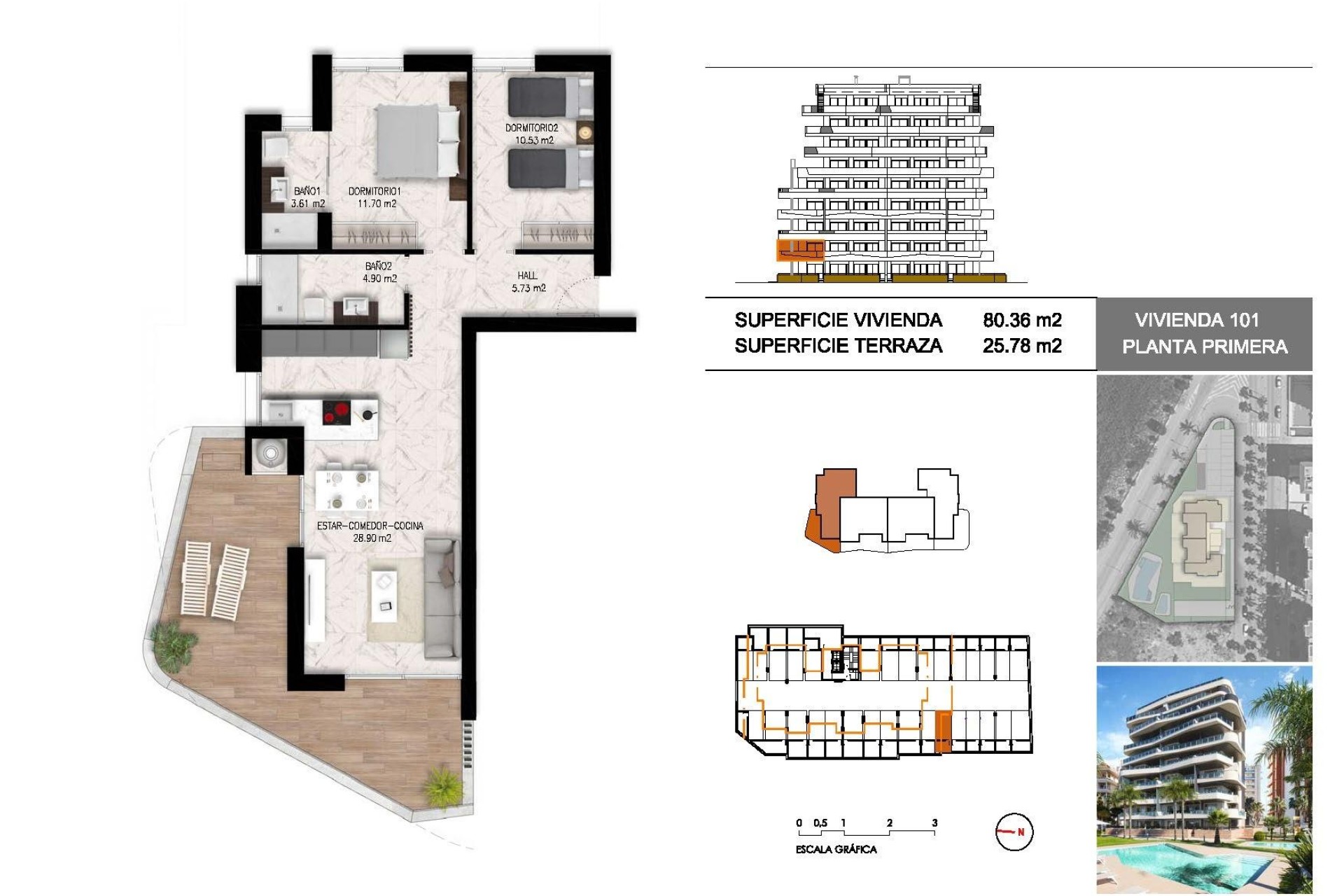 Obra nueva - Apartamento / piso - Guardamar del Segura - PUERTO