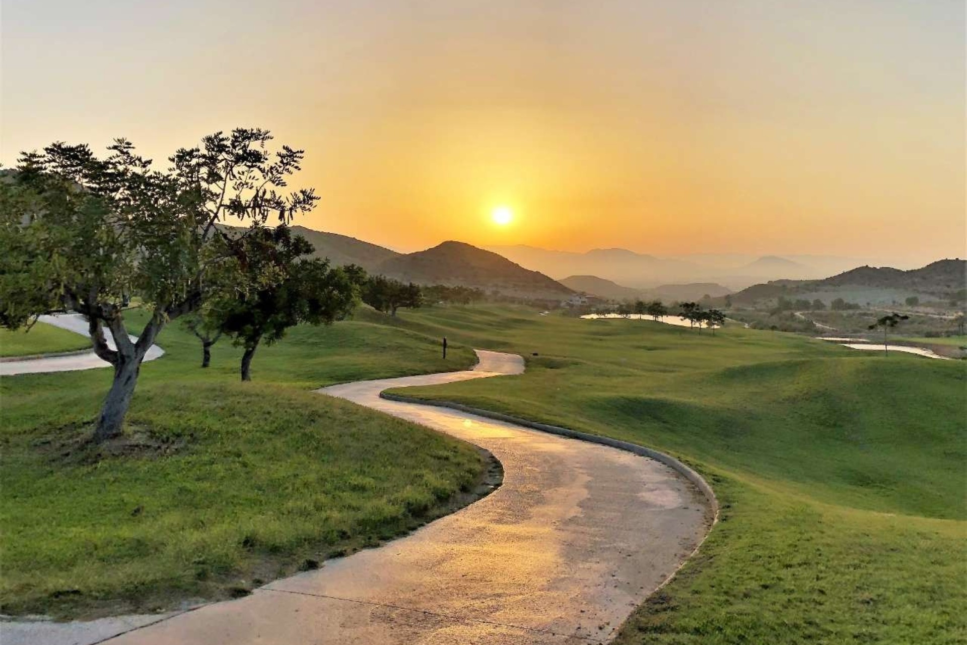 Obra nueva - Apartamento / piso - Monforte del Cid - Comunidad valenciana