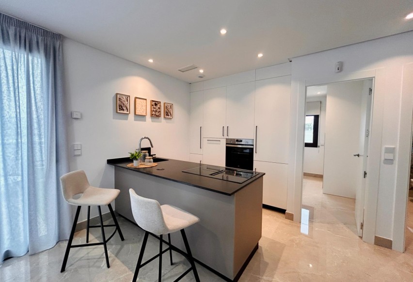 Obra nueva - Villa - La marina - El pinet