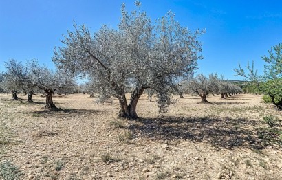 Parcela / Terreno - Reventa - Castalla - 1653/6022
