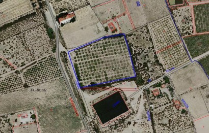 Parcela / Terreno - Reventa - Crevillent - BOCH