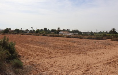 Parcela / Terreno - Reventa - Elche Pedanías - Balsares