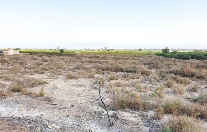 Parcela / Terreno - Reventa - La marina - 8320G/598