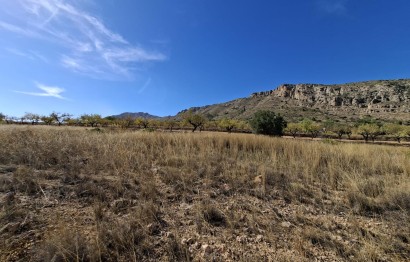 Parcela / Terreno - Reventa - La Romana - La Romana