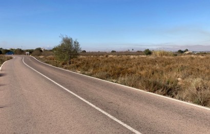Parcelle / Terrain - Revente - Elche Pedanías - 03895/421