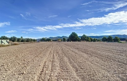 Parcelle / Terrain - Revente - Ibi - 1639/6022