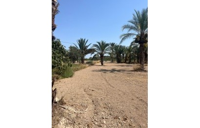 Plot / Land - Resale - Elche Pedanías - Algoda-Matola-Llano de San José