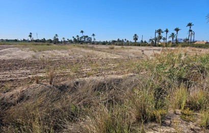 Plot / Land - Resale - Elche Pedanías - La Hoya-Daimes-El Derramador