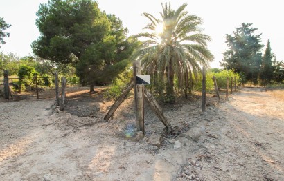 Plot / Land - Resale - Elche Pedanías - La Marina