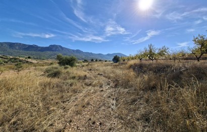 Plot / Land - Resale - La Romana - La Romana