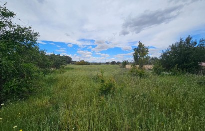 Plot - Resale - Elche Pedanías - Valverde