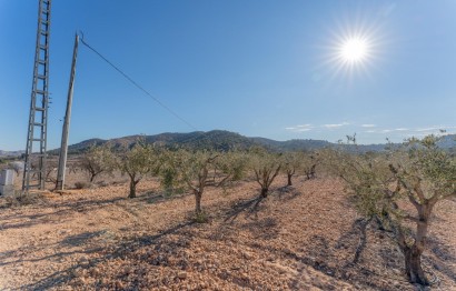 Plot - Resale - Hondón de las Nieves - Comunidad valenciana