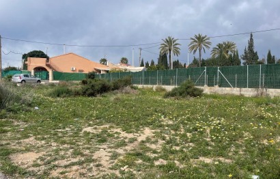 Plot - Revente - Elche Pedanías - Matola