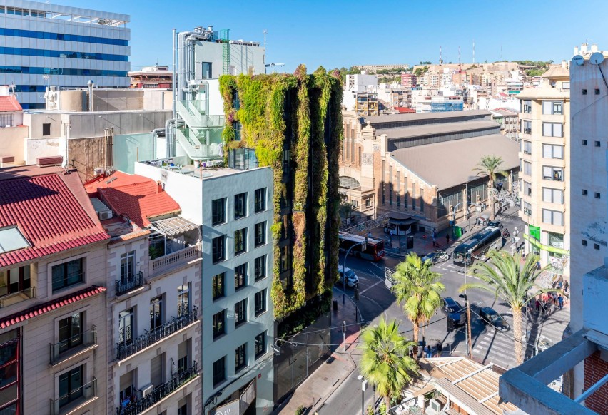 Resale - Apartment / flat - Alicante - Centro