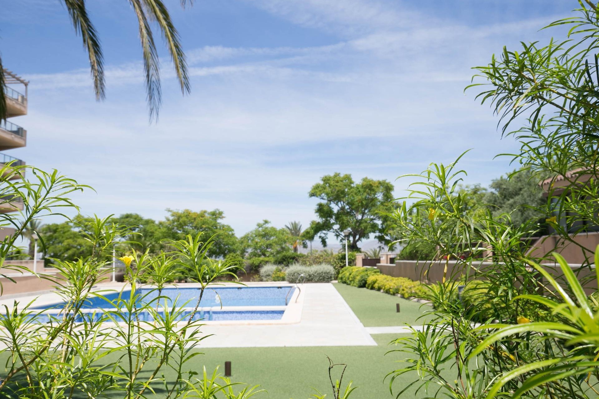 Resale - Apartment / flat - Arenales del Sol - Calle valladolid