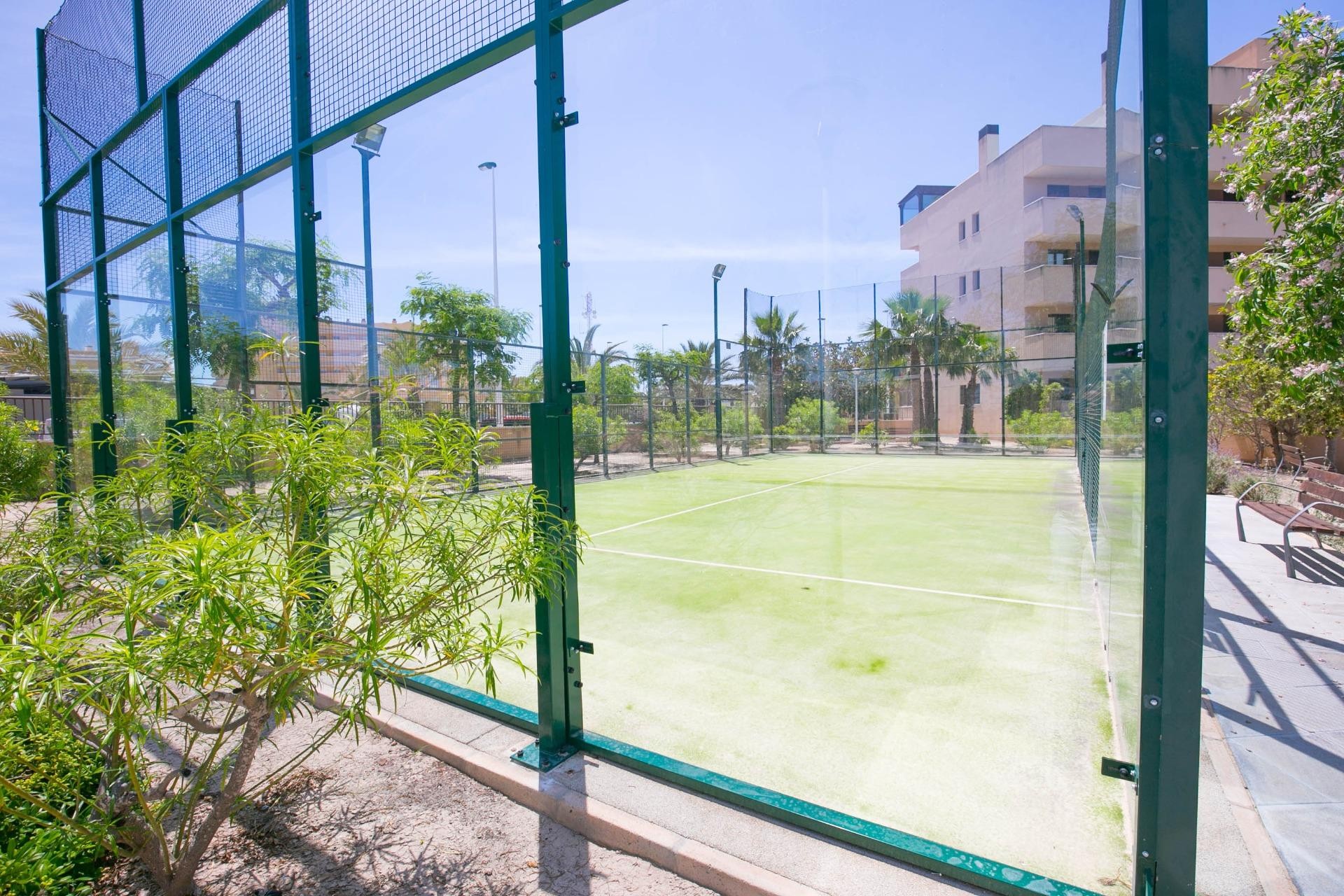 Resale - Apartment / flat - Arenales del Sol - Calle valladolid