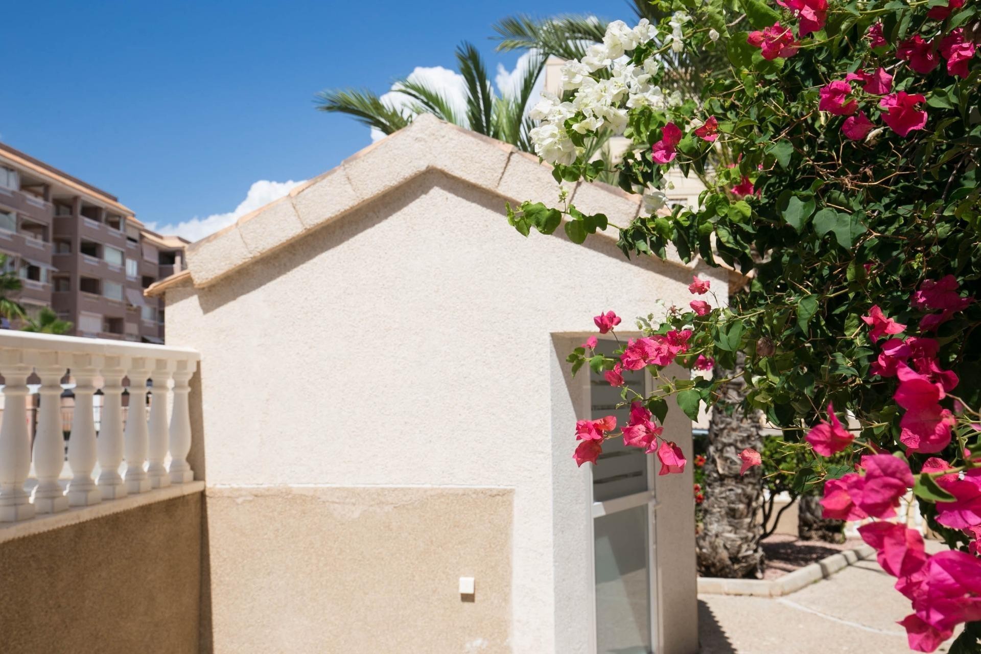 Resale - Apartment / flat - Arenales del Sol - Segunda linea playa