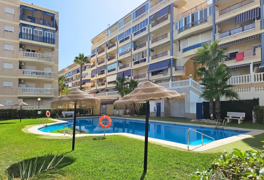 Resale - Apartment / flat - Arenales del Sol