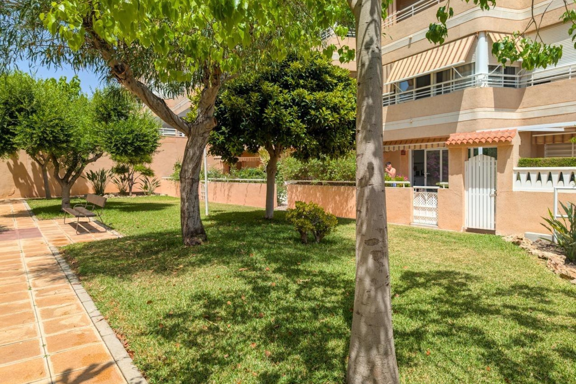 Resale - Apartment / flat - Elche - Playa arenales del sol