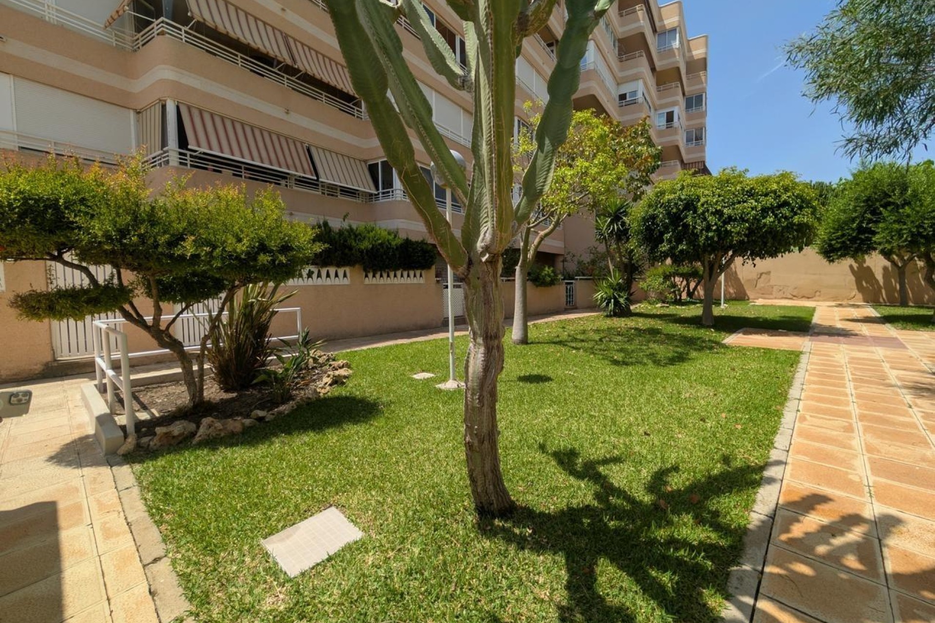 Resale - Apartment / flat - Elche - Playa arenales del sol