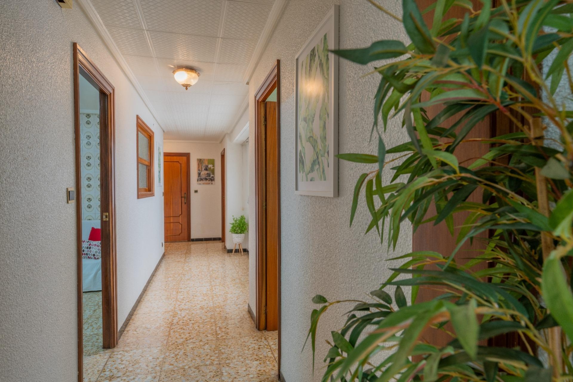 Resale - Apartment / flat - Elche - Pont Nou-Corazón de Jesús