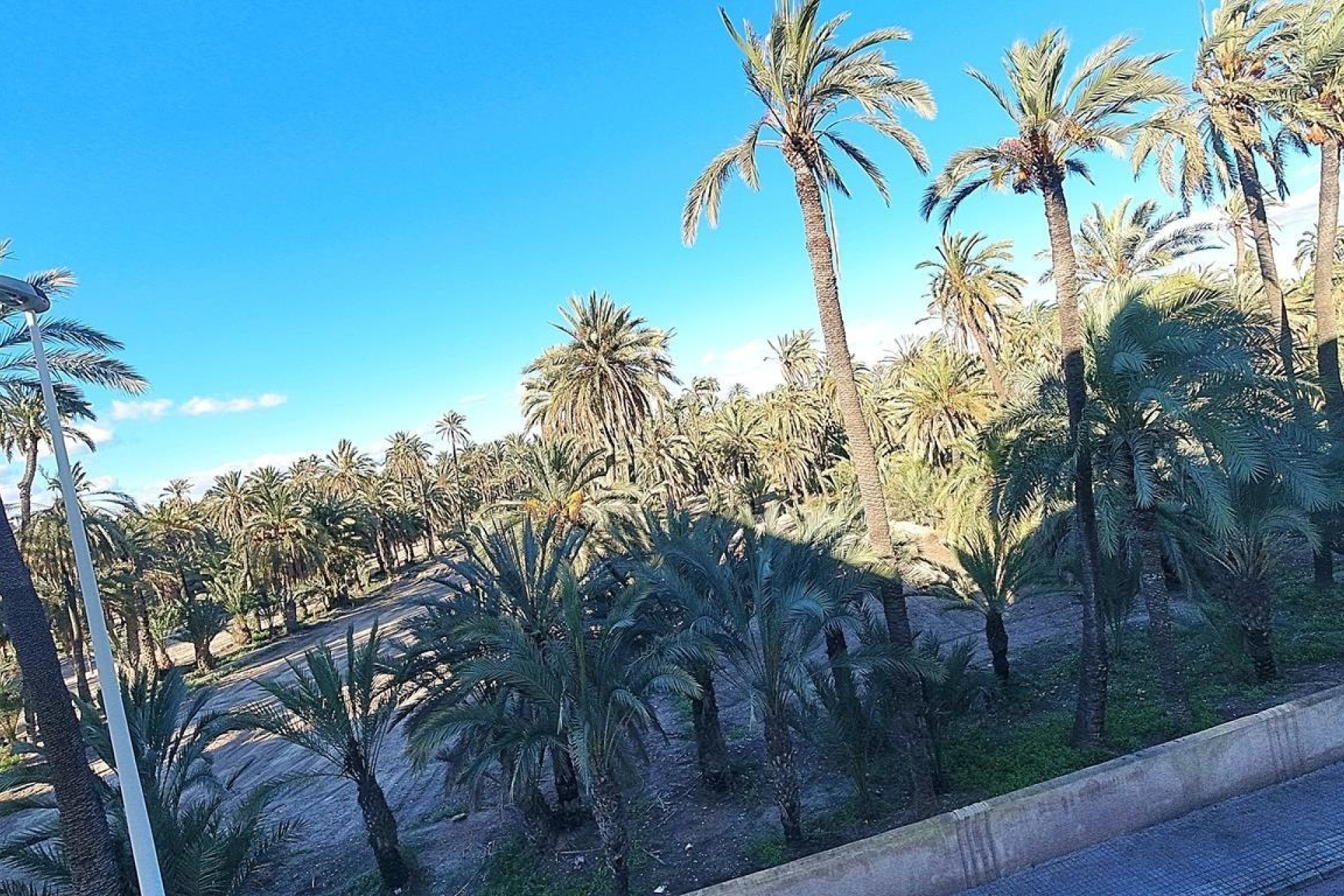 Resale - Apartment / flat - Elche - Torreta - Portalada