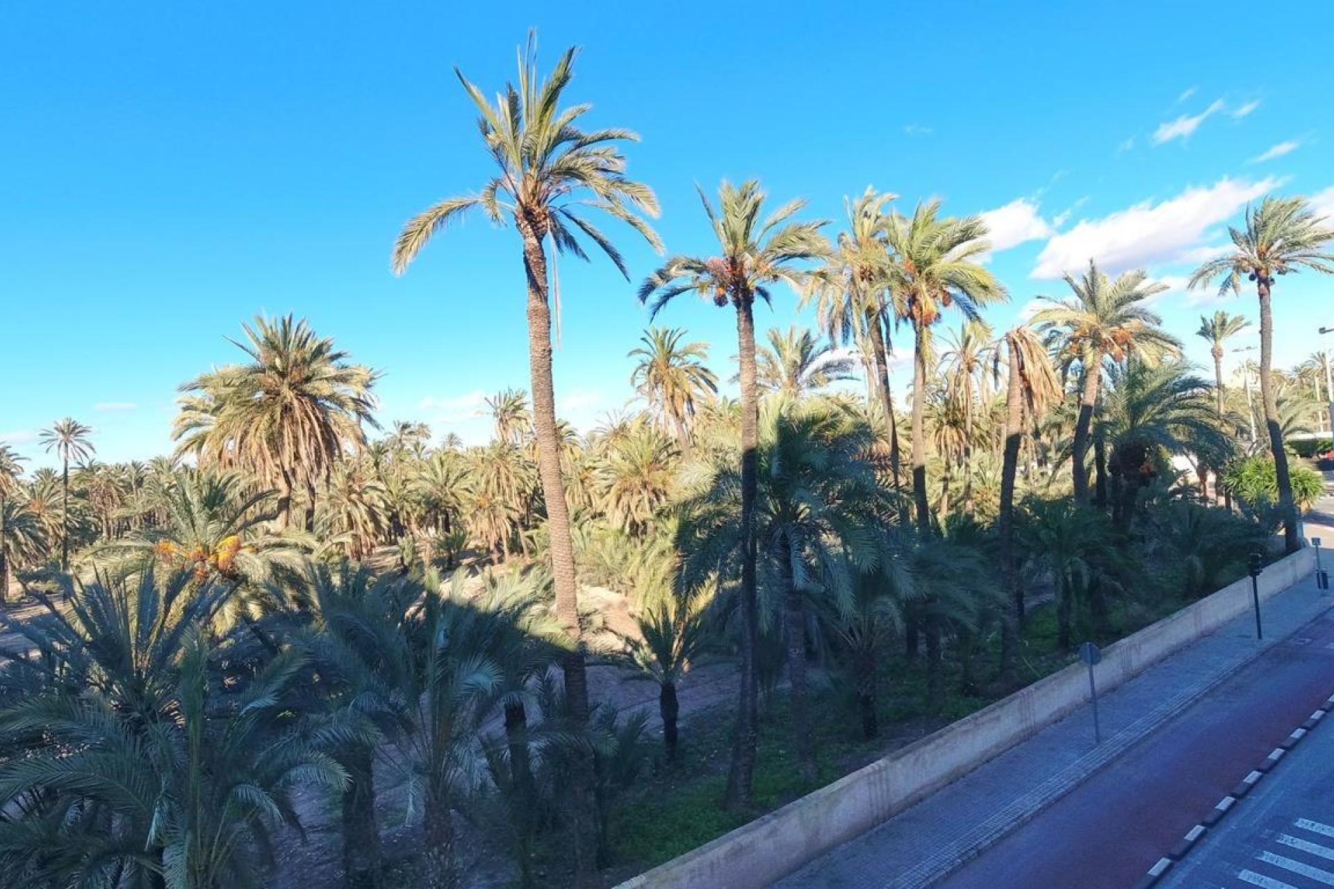 Resale - Apartment / flat - Elche - Torreta - Portalada