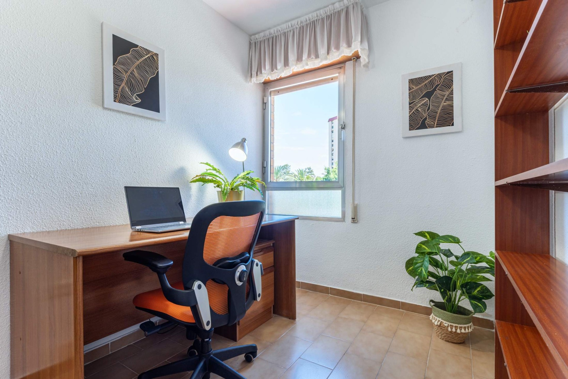 Resale - Apartment / flat - San Juan Playa - Cabo de las Huertas