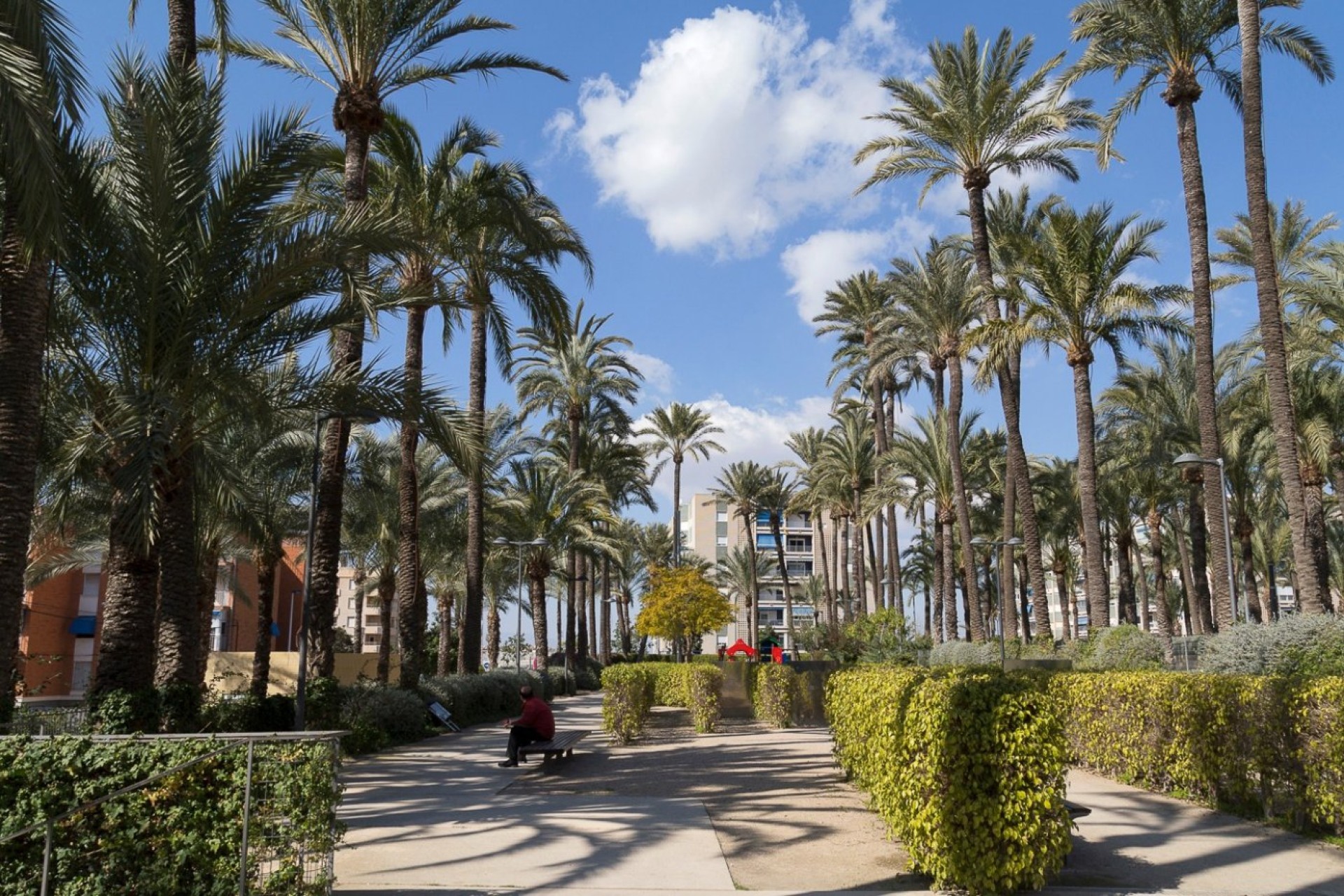 Resale - Apartment / flat - Santa Pola - Casco urbano