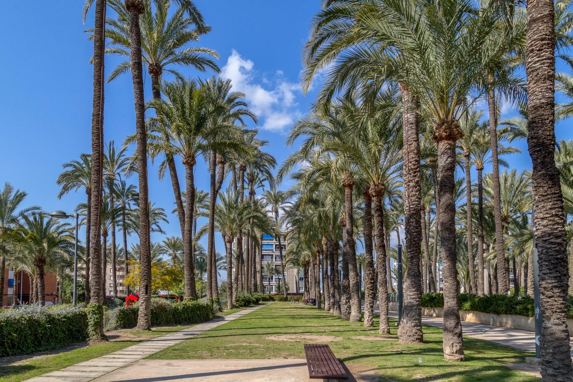 Resale - Apartment / flat - Santa Pola - Zona norte
