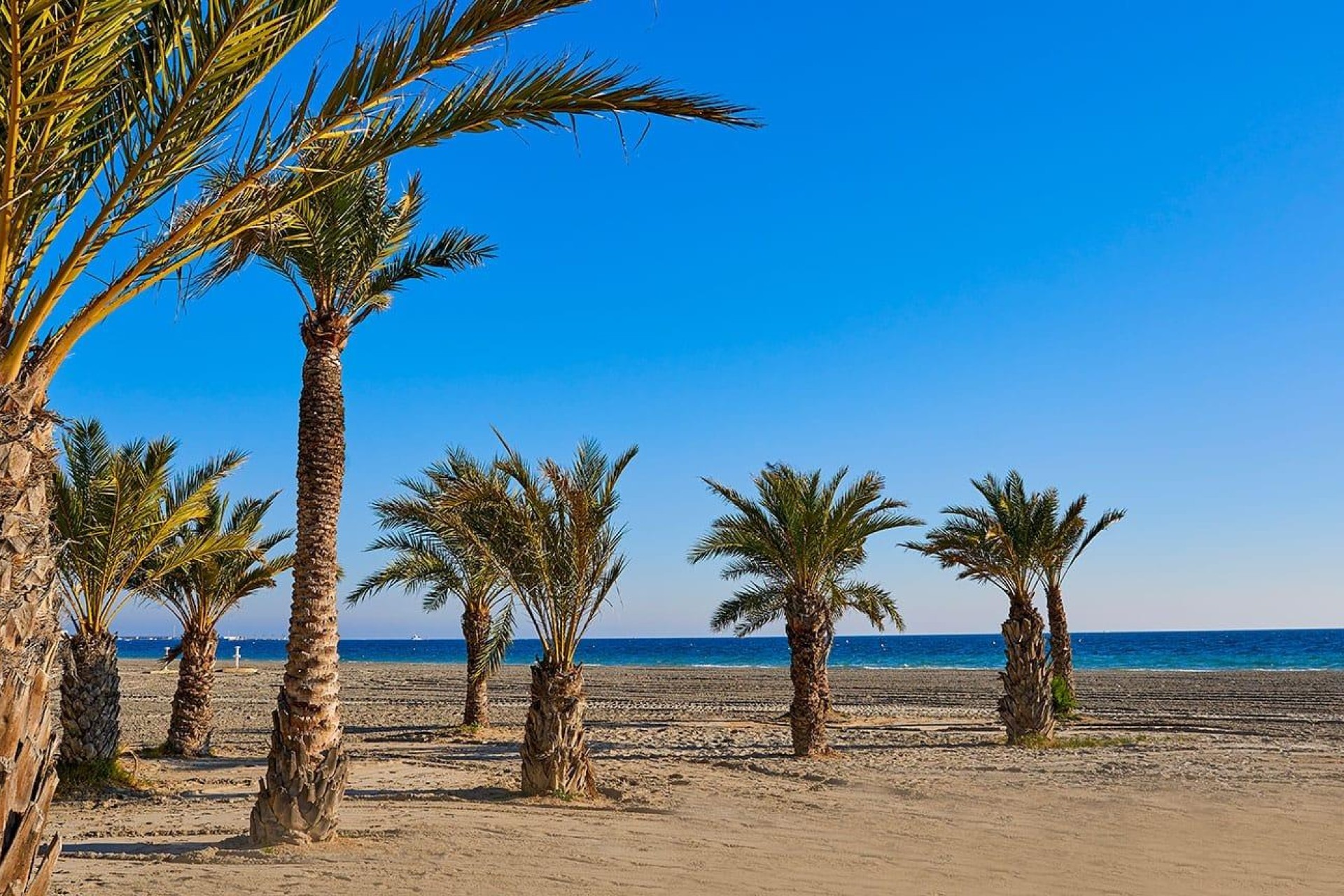 Resale - Bungalow - Santa Pola - Puerto