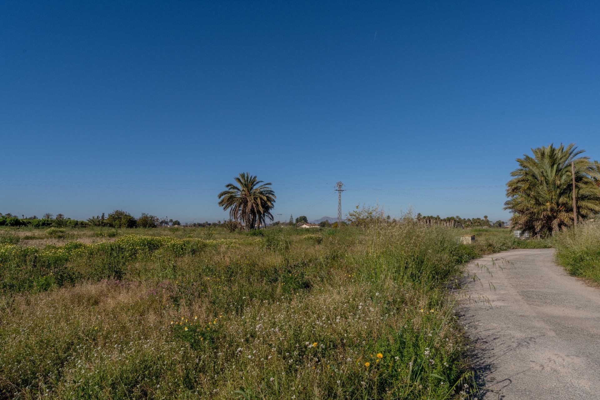 Resale - Casa de campo - Elche Pedanías - Derramador